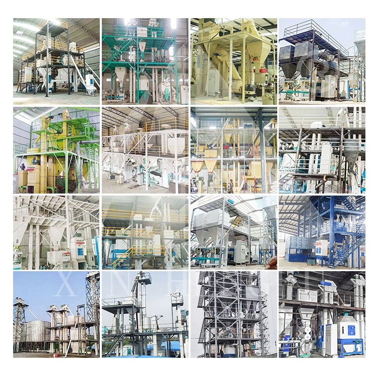 Complete Livestock Sinking Fish Feed Pelletizer Production Plant Processing Equipment