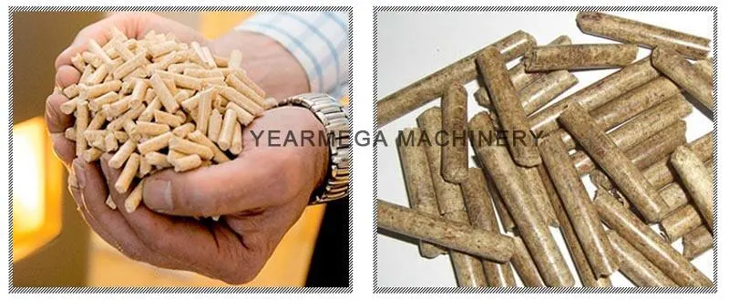 Automatic Biomass Wood Pellet Processing Plant Capacity 300 Kg/Hour