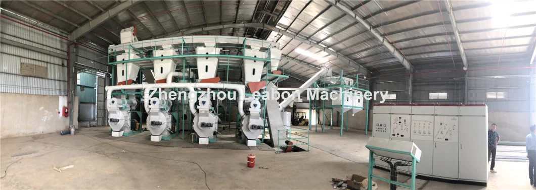 Biomass Wood Sawdust Pellets Production Line (10000-100000ton/year)