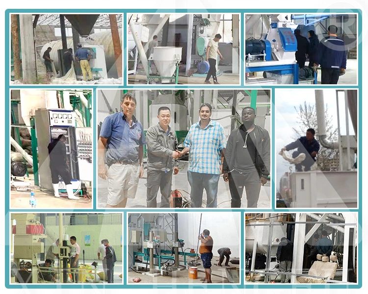 Complete Livestock Sinking Fish Feed Pelletizer Production Plant Processing Equipment