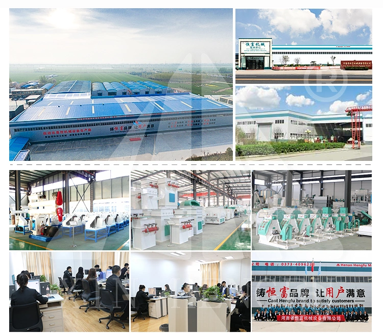 Complete Livestock Sinking Fish Feed Pelletizer Production Plant Processing Equipment