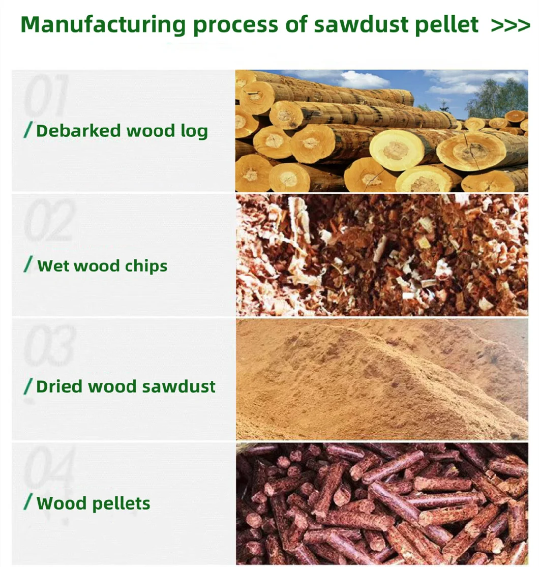 Small Type Industrial Making Wood Biomass Pellet Machine Complete Production Line Price