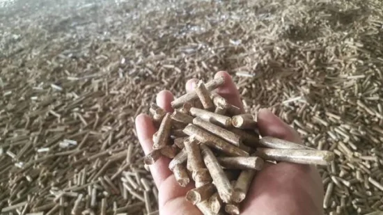 Automatische Biomasse-Holzpellet-Verarbeitungsanlage mit einer Kapazität von 300 kg/Stunde